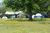 DSC06956.JPG