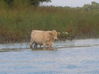 DSCN0479.JPG
