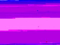 009.JPG