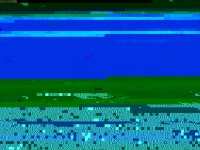 015.JPG