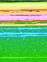 003.JPG