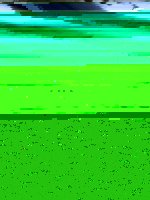 017.JPG
