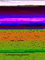001.JPG