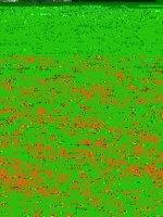 013.JPG