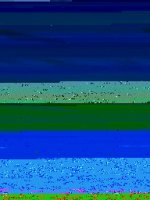 003.JPG