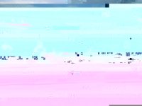 purplehaze.jpg
