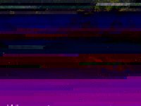 BrokenBow5.jpg