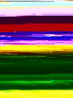 011.JPG