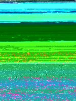 004.JPG