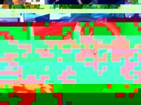 T4T12-10 060.JPG
