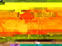 wheel chair.jpg