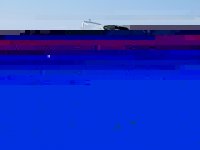 Copy of Boat trip to Norfolk (1).JPG