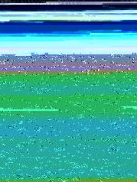001.JPG