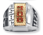 My_300_Ring.png