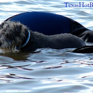 Lake_Granbury_8-05-07_018.jpg